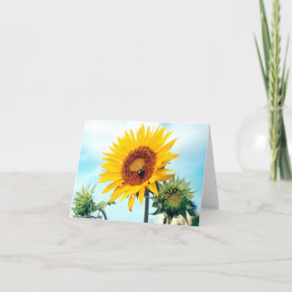 Tarjeta Cielo azul girasol