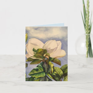 Tarjeta Cielo de la magnolia