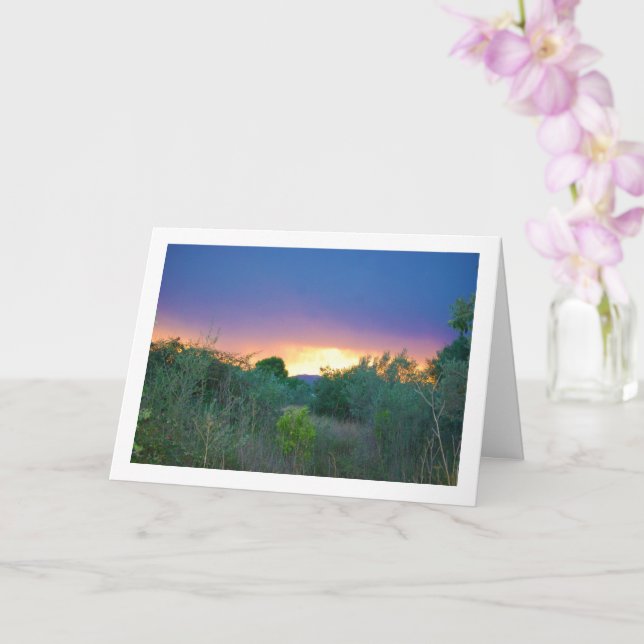 Tarjeta Cielo de la Montaña Naranja (Orquídea)