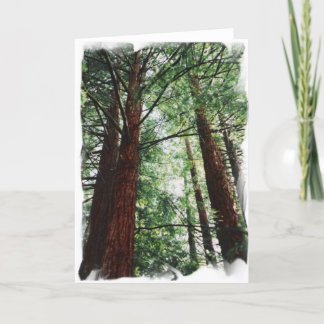 Tarjeta Cielo de la secoya