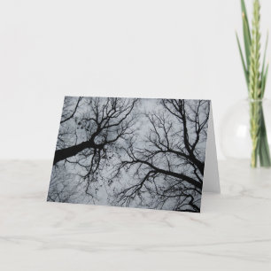 Tarjeta Cielo de noviembre a través de la fotografía de ár