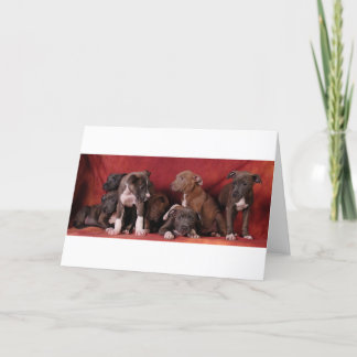 Tarjeta Cielo del perrito de Pitbull