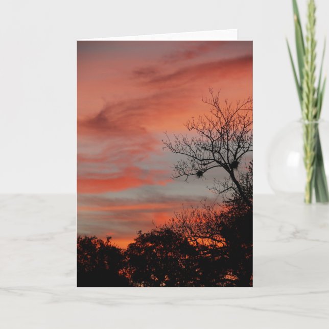 Tarjeta Cielo matutino (Anverso)