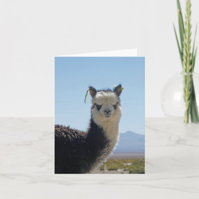 Tarjeta Cierre blanco y negro de la llama de la alpaca (Anverso)