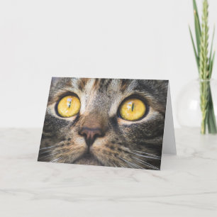 Tarjeta Cierre de gato con ojos amarillos