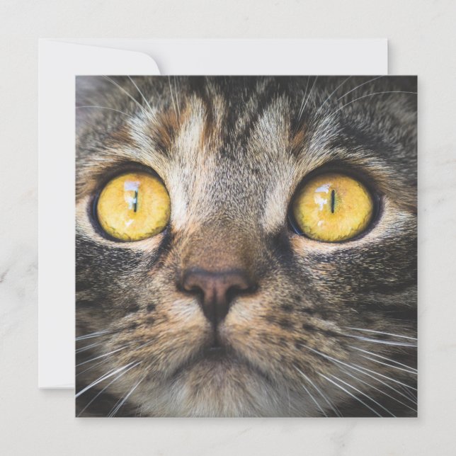 Tarjeta Cierre de gato con ojos amarillos (Anverso)