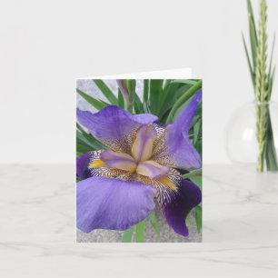 Tarjeta Cierre de la flor de iris floreciente