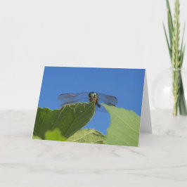 Tarjeta Cierre de una libélula contra un cielo azul brilla