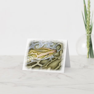 Tarjeta Cierre del pitón indio