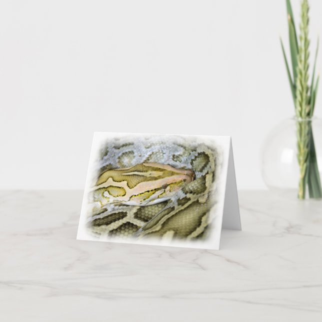 Tarjeta Cierre del pitón indio (Anverso)