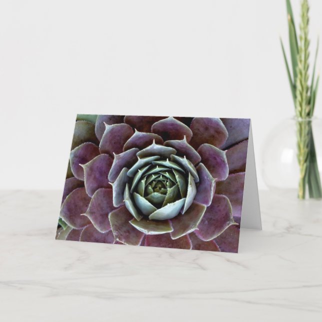 Tarjeta Cierre Purple Succulent (Anverso)
