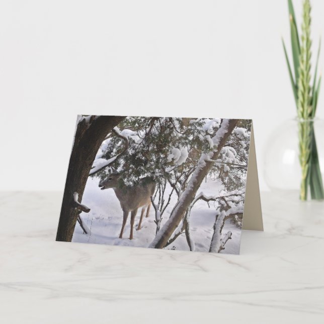 Tarjeta Ciervo de Navidad, Reno, Fotografía (Anverso)