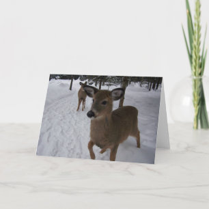 Tarjeta ciervos amistosos