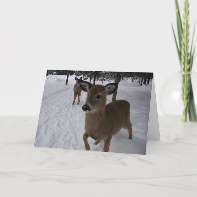 Tarjeta ciervos amistosos (Anverso)