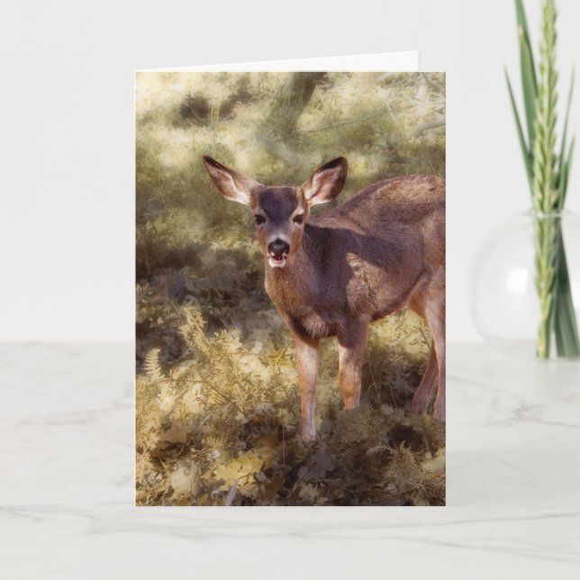 Tarjeta Ciervos de Fawn/Oh (Anverso)
