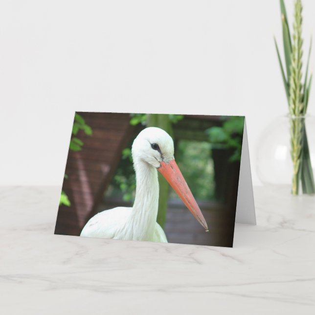 Tarjeta cigüeña (Anverso)