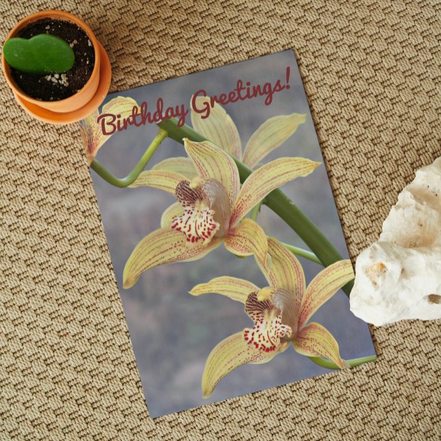 Tarjeta Cimbidio Específico Orquídea Cumpleaños Floral (In Situ)