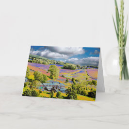 Tarjeta Cinco azotes