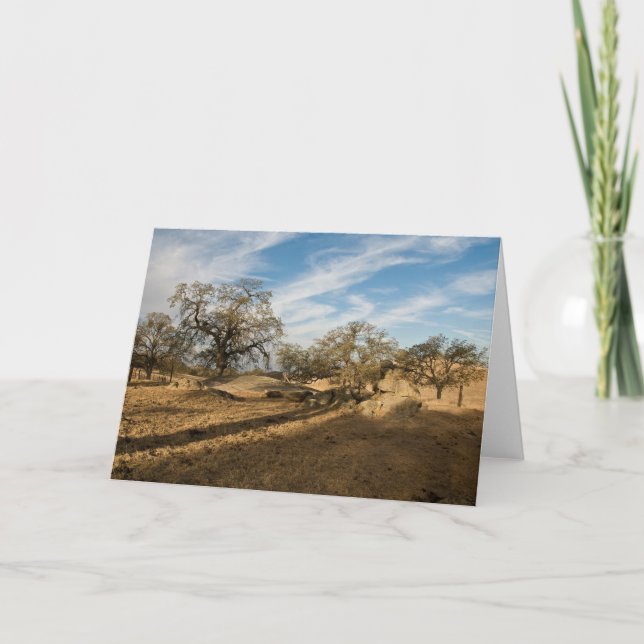 Tarjeta Cinco robles y sombras largas (Anverso)