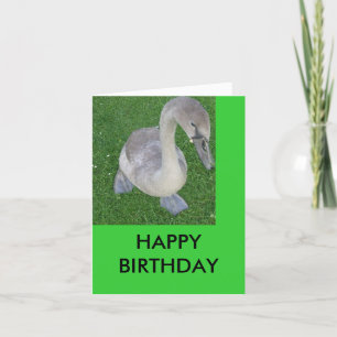 Tarjeta ciñenes en tierra, FELIZ CUMPLEAÑOS
