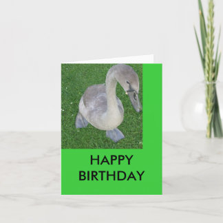Tarjeta ciñenes en tierra, FELIZ CUMPLEAÑOS