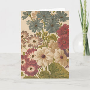 Tarjeta Cineraria   George Nicholson