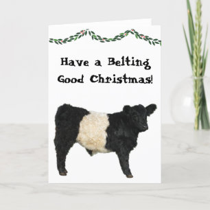 Tarjeta Cinturón Bueno Navidad Belted Galloway Beltie Vaca
