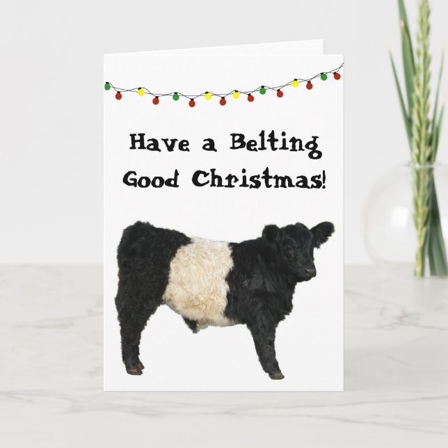 Tarjeta Cinturón Bueno Navidad Belted Galloway Beltie Vaca (Anverso)