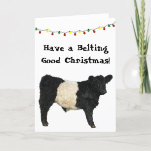 Tarjeta Cinturón Bueno Navidad Belted Galloway Beltie Vaca