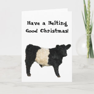 Tarjeta Cinturón Bueno Navidad Belted Galloway Vaca Beltie
