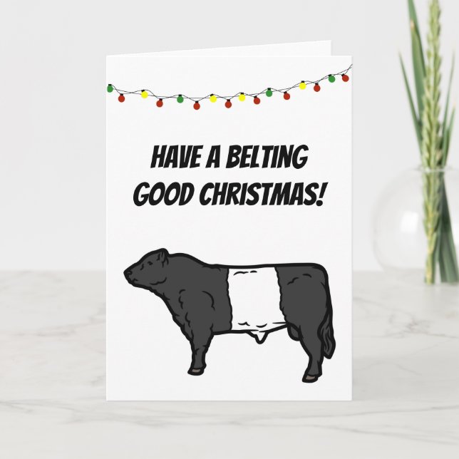 Tarjeta Cinturón Bueno Navidad Belted Galloway Vaca Beltie (Anverso)