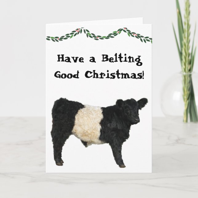 Tarjeta Cinturón Bueno Navidad Belted Galloway Vaca Beltie (Anverso)