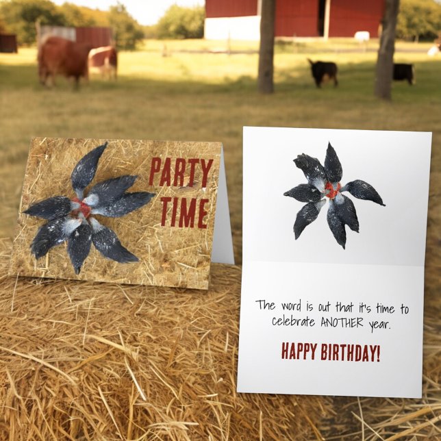 Tarjeta Círculo de pollos blancos y negros comiendo sandía (custom greeting card front and inside)