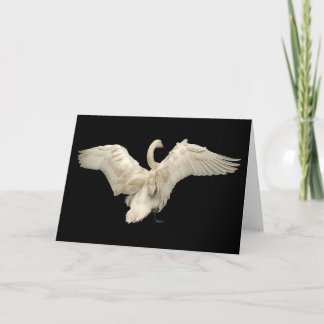 Tarjeta Cisne