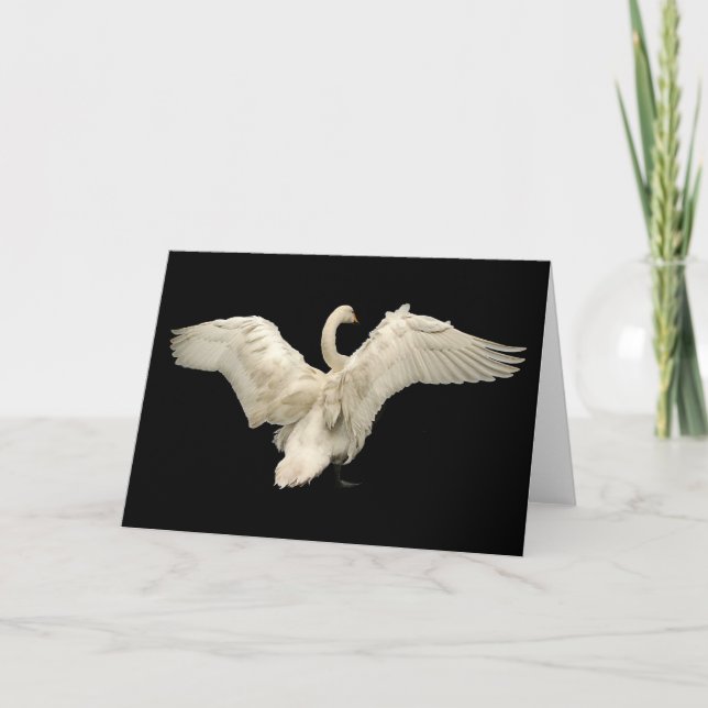 Tarjeta Cisne (Anverso)