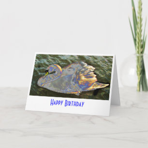 Tarjeta Cisne arcoiris