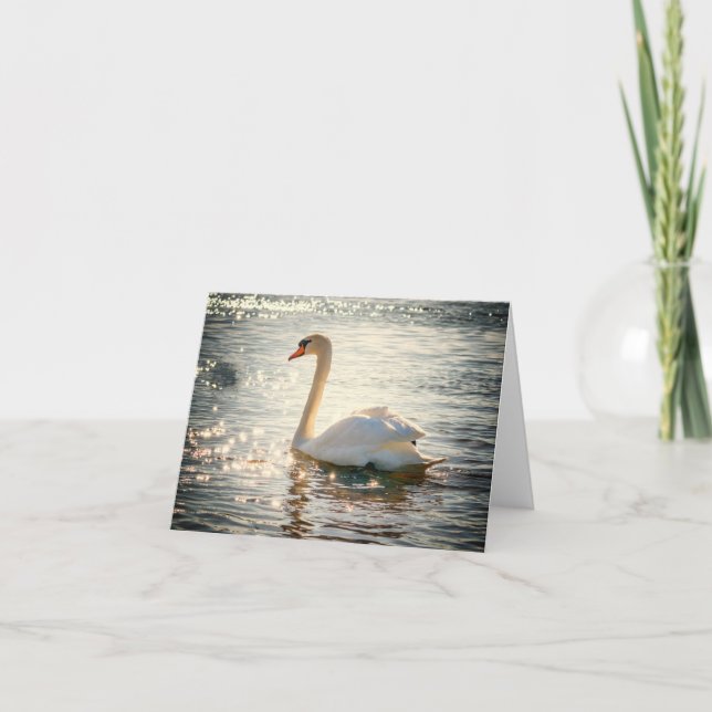 Tarjeta Cisne blanco (Anverso)