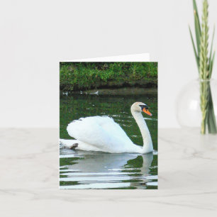 Tarjeta Cisne blanco/ abanico de "Exudes Gracetialidad y B