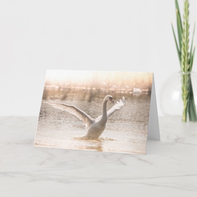 Tarjeta Cisne blanco en la foto de la naturaleza del lago (Anverso)