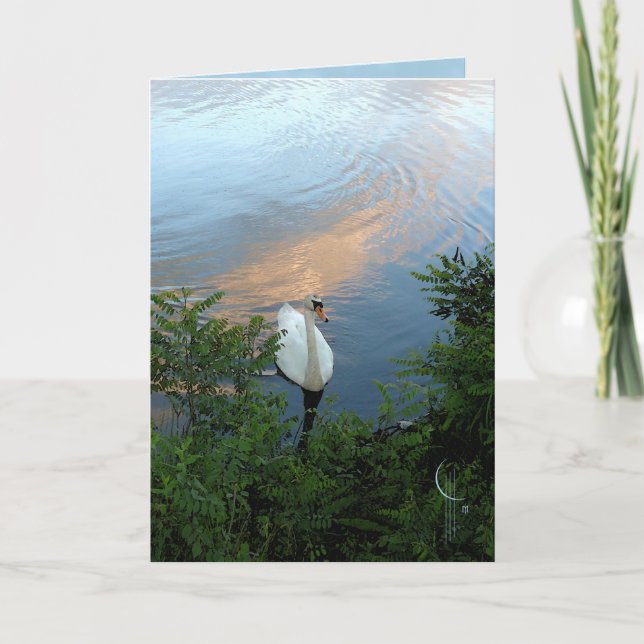 Tarjeta Cisne de la puesta del sol (Anverso)
