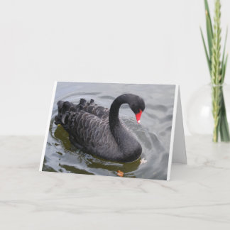 Tarjeta ¡Cisne negro del cumpleaños en un día pacífico!