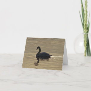 Tarjeta Cisne solitario