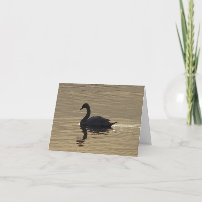 Tarjeta Cisne solitario (Anverso)