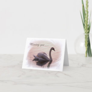 Tarjeta Cisne solitario