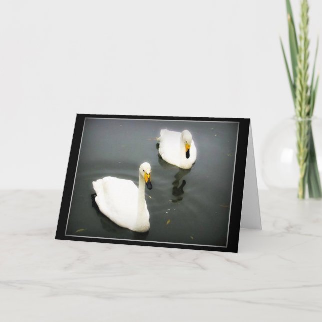 Tarjeta Cisnes Blancos Agua Negra (Anverso)