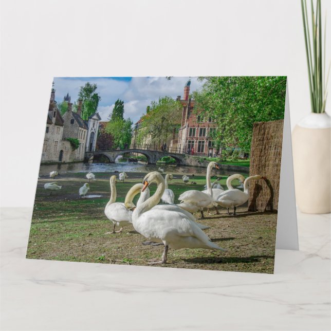 Tarjeta Cisnes blancos en el centro de Brujas (Anverso)