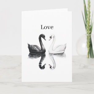 Tarjeta Cisnes Blancos Negros Pájaros Reflexión Amor