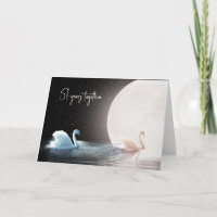 Cisnes blancos y 51 años de la luna