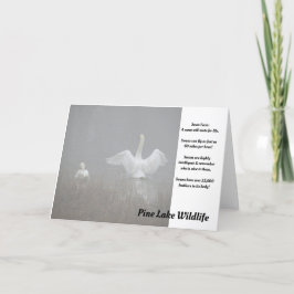 Tarjeta Cisnes en el lago Pine