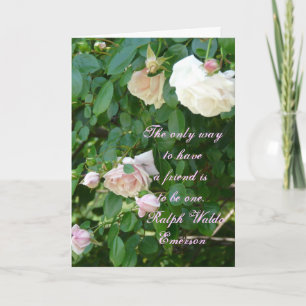 Tarjeta Cita de amistad con rosas rosas rosas rosas rosas